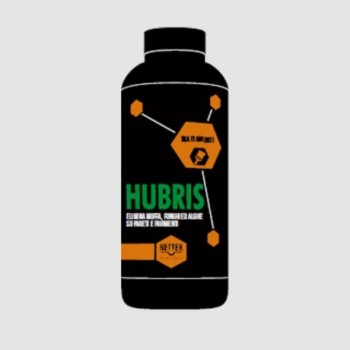 HUBRIS nettex antimuffa 1lt